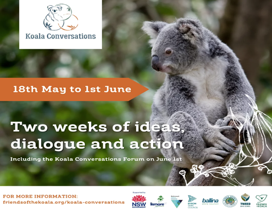 koala-conversations.png
