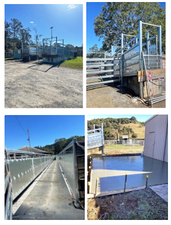 Work at the saleyards.