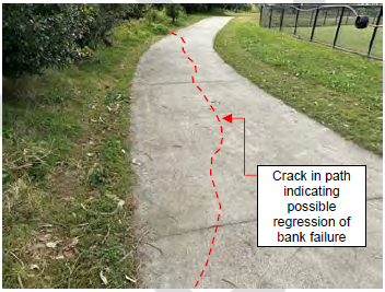 A crack in the footpath.