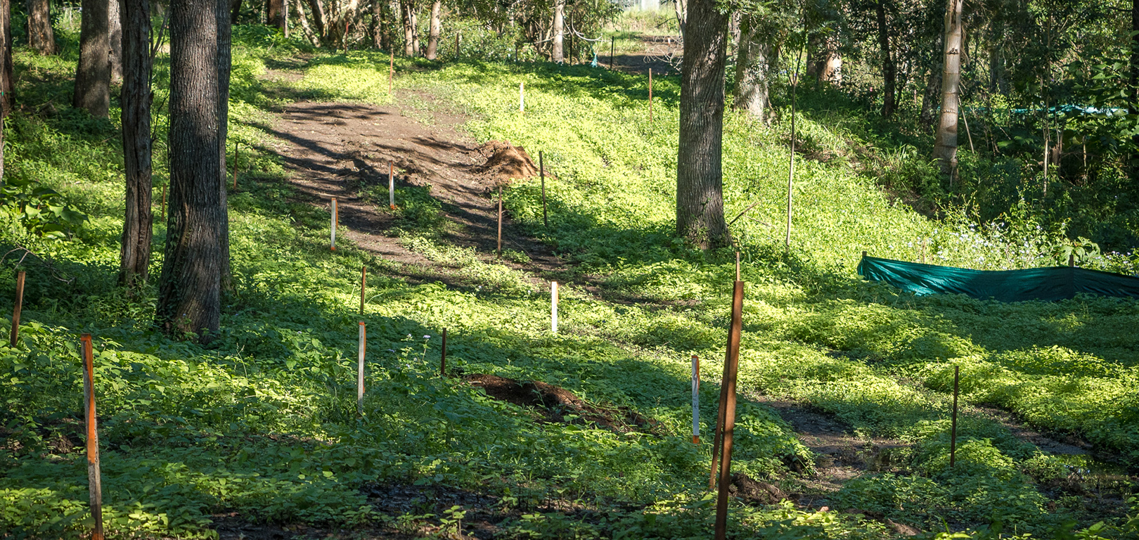 Nimbin-Rainbow-Walk-construction-update-3-slide.jpg